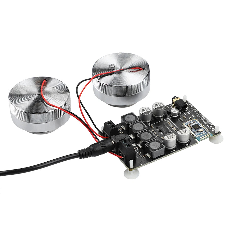 AIYIMA Vibration Full Range Speaker+ Amplifier+ Plug 2 Inch Audio Mini Portable 4/8 Ohm 20/25W Resonance Speakers Diy Bluetooth