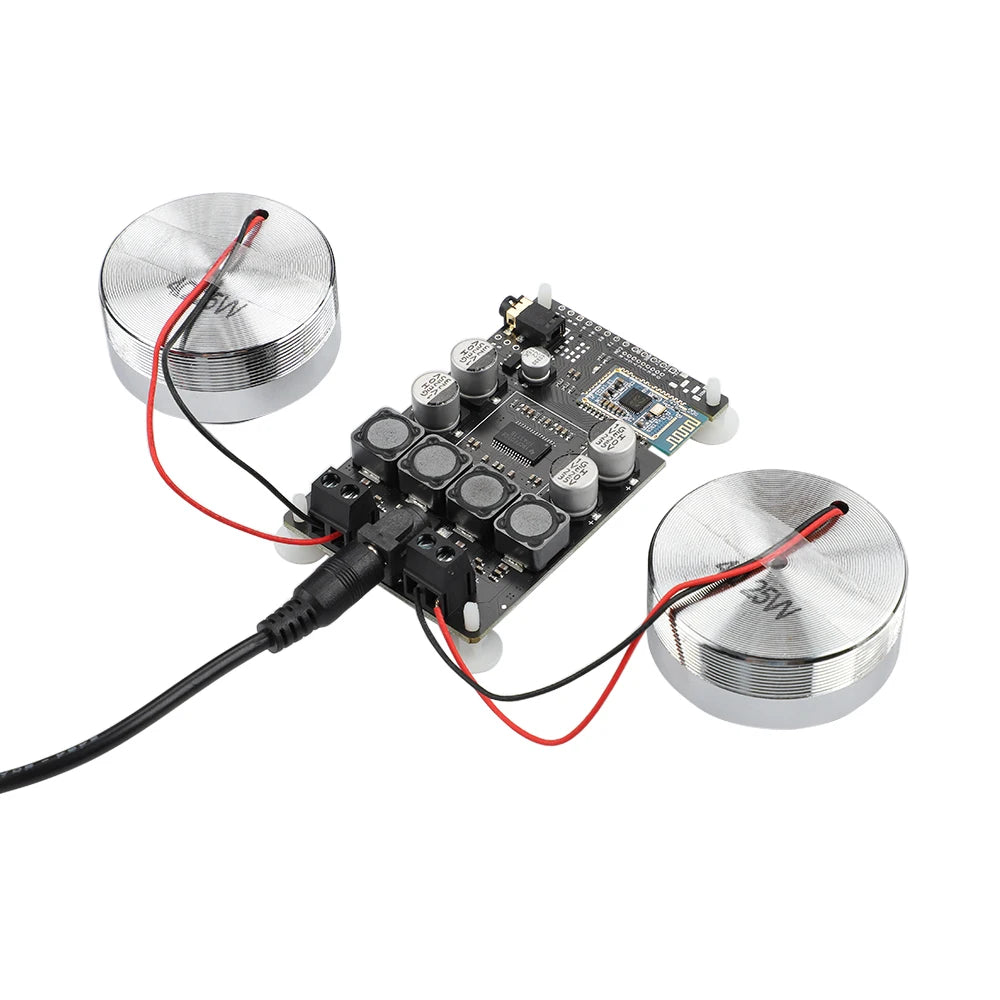 AIYIMA Vibration Full Range Speaker+ Amplifier+ Plug 2 Inch Audio Mini Portable 4/8 Ohm 20/25W Resonance Speakers Diy Bluetooth